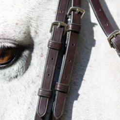 Equinavia Valkyrie Wide Noseband Hunter Bridle With Reins -Lemieux Store 11be4b86 b3fb 469b be35 dd431000745bE11003 CBR 5e32fff88cdd7e2346e8c211b453753427273afb