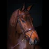 Dy'on D Collection Anatomic Flash Noseband Bridle