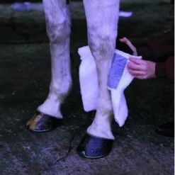 Animalintex Poultice Pad