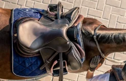 Winderen Jump Half Pad Slim - 10mm 11 Winderen Jump Half Pad Slim - 10mm -Lemieux Store 387b 7b9be07d f4eb 4536 89f3 e1fc7bb60cd5