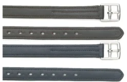 Sage Family Nylon Core Stirrup Leathers