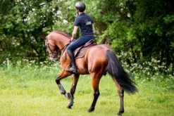 Winderen Comfort Jump Half Pad - 18mm -Lemieux Store 4122b