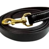 Walsh Leather Lead With Snap