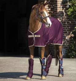 Lemieux Store -Lemieux Store ACRJ44 GFBM DHRH40 GFBM