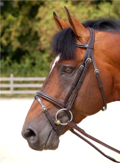 Dy'on Working Collection Flash Noseband Bridle