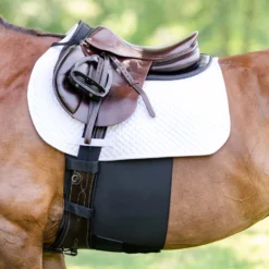 EquiFit Belly Band PLUS