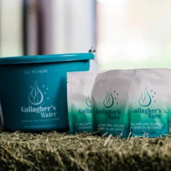 Gallagher's Water Hydration Beverage - 12 Pack