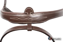 Signature By Antares Flash Noseband Snaffle Bridle -Lemieux Store SIGOB BRD1 PIC 2020 03