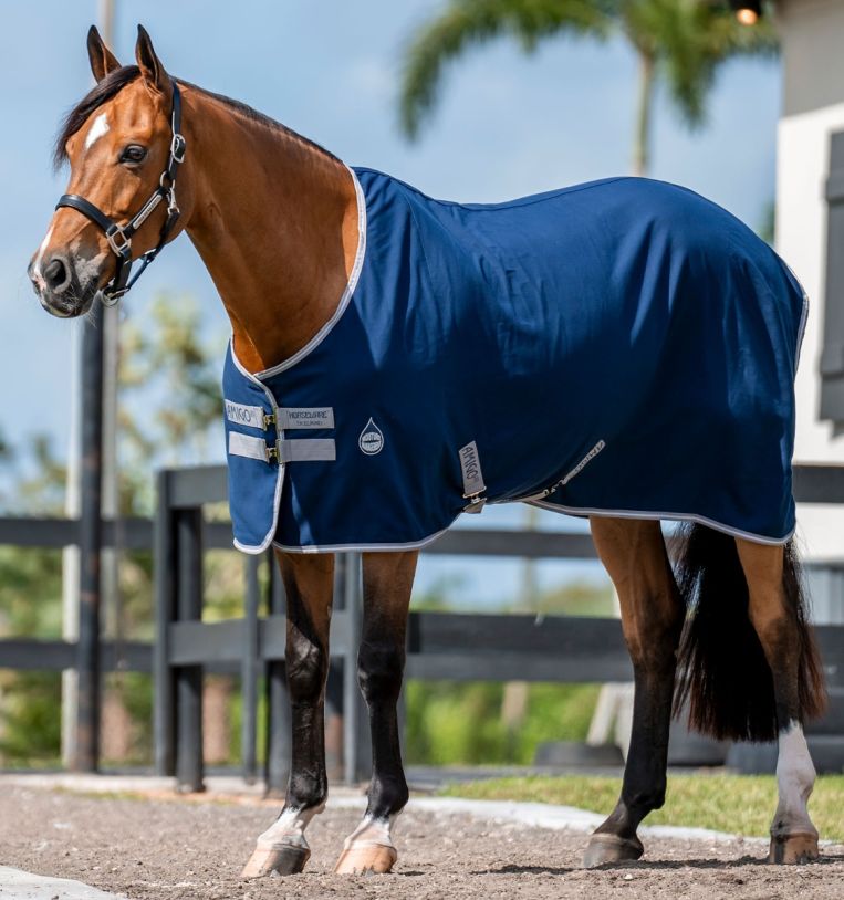 Lemieux Store -Lemieux Store adrf22 bji0 amigo stable sheet navy horse2