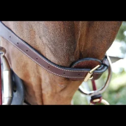 Dy'on D Collection Anatomic Flash Noseband Bridle -Lemieux Store anatomic flash noseband bridle 3