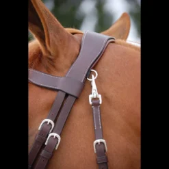 Dy'on Working Collection Fancy Flash Bridle With Snap Hooks -Lemieux Store bridon muserolle combinee fancy 1