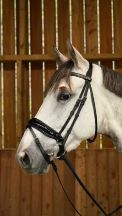 Dy'on Working Collection Large Crank Flash Noseband Bridle - 2 Colours