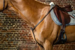 Dy'on D Collection Fancy Breastplate