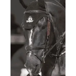 Dy'on Focus Cheek Pieces Blinkers - 2 Colours -Lemieux Store d4566e05a82d45ead13b1a63f55b6e7b443ca71b
