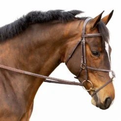 Equinavia Valkyrie Fancy Stitched Figure 8 Bridle With Reins