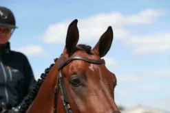 Dy'on New English Collection Flat Leather V-Shaped Browband