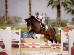 TKEQ SLOAN Short Sleeve Competition Top - WHITE -Lemieux Store image b366b01f d0ca 4f19 af20 e9dfde1f10c7