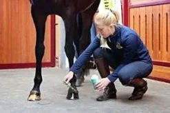 Absorbine Hooflex Natural Dressing & Conditioner - 450ml -Lemieux Store images 3 791940d4 4e42 4531 929a 3c246da985bd