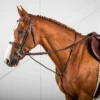 Dy'on US Hunter Collection Standing Martingale