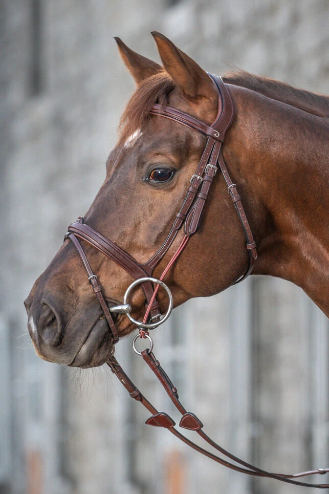 Dy'on New English Collection Gag Cheek Pieces 1 Dy'on New English Collection Gag Cheek Pieces