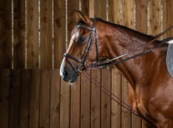 Dy'on Working Collection Leather/Nylon Draw Reins