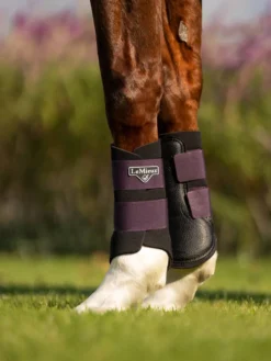 LeMieux Grafter Brushing Boot - FIG